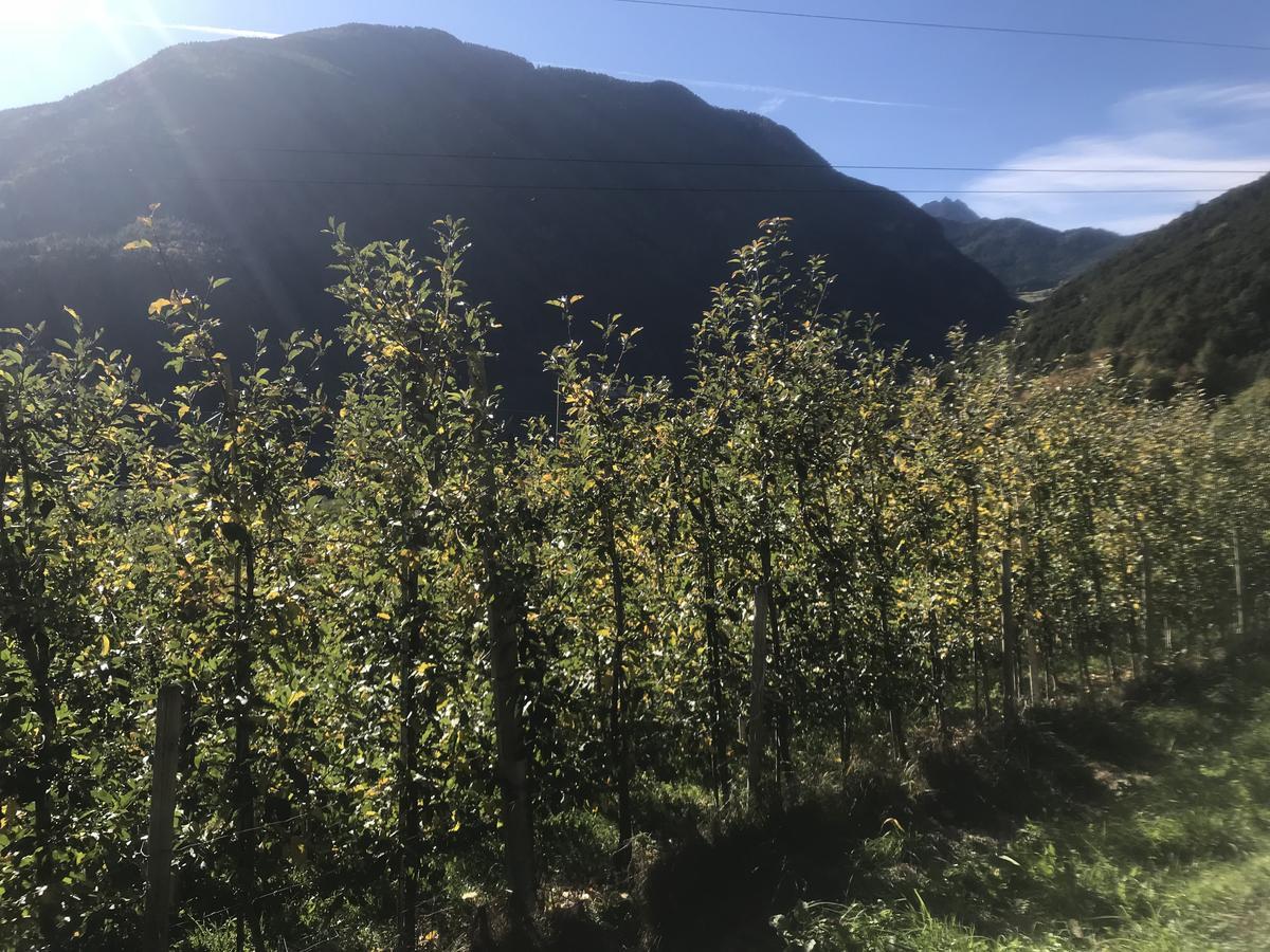 Gasserhof Aicha Natz-Schabs Zewnętrze zdjęcie