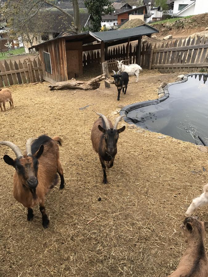 Gasserhof Aicha Natz-Schabs Zewnętrze zdjęcie